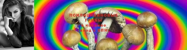 первитин Володарск