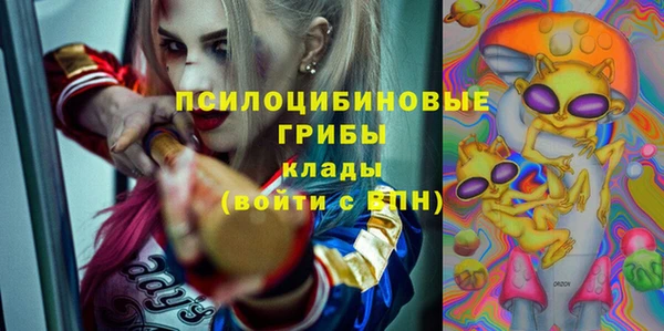 гашик Верхнеуральск
