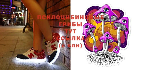 тгк Верея