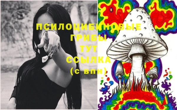 ALPHA PVP Волосово
