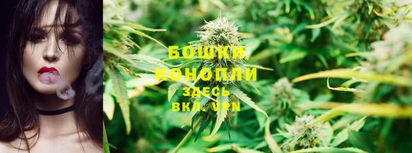 тгк Верея