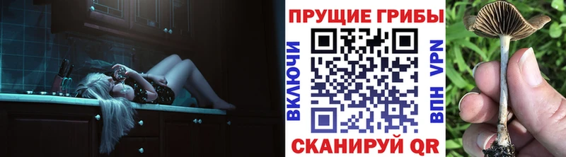 Псилоцибиновые грибы Psilocybe Горбатов