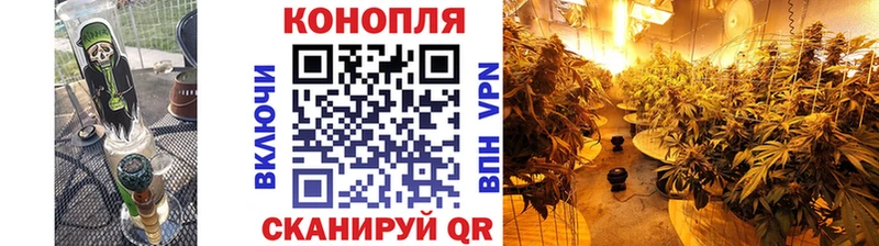 цены   MEGA маркетплейс  Шишки марихуана VHQ  Горбатов 